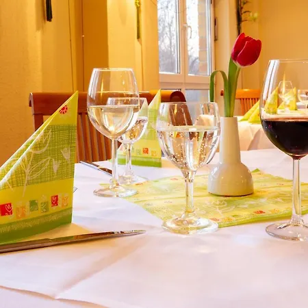 Quick Dresden West Hotel 3*